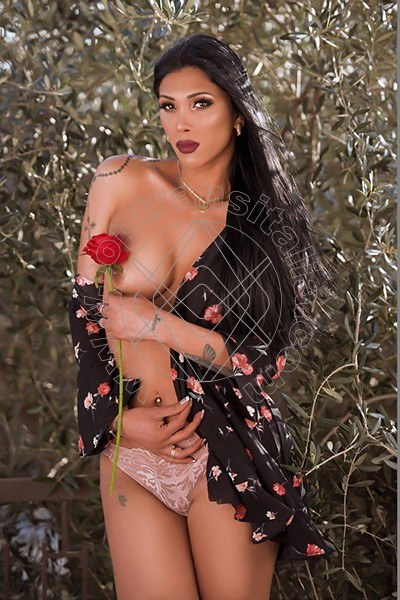 Graziella Araujo ALESSANDRIA 3889906446